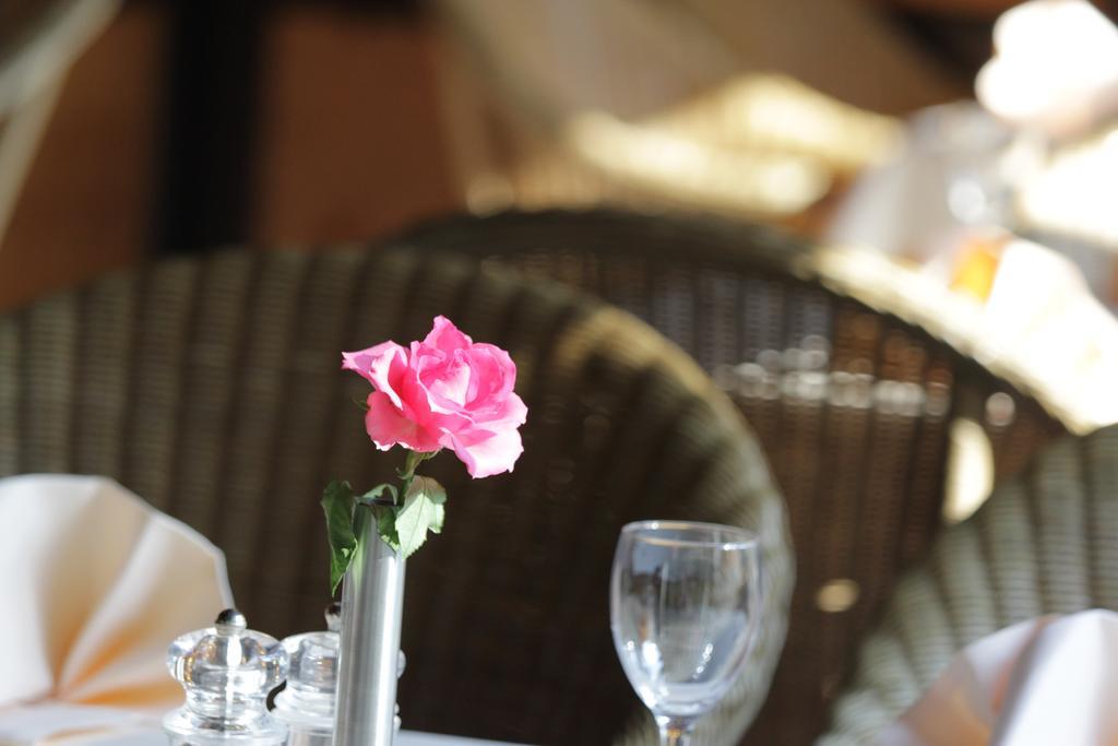 Relexa Hotel Bad Salzdetfurth Dış mekan fotoğraf